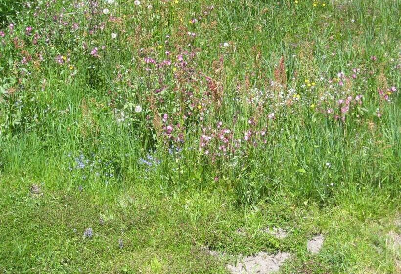 ペンション Adlerhorst