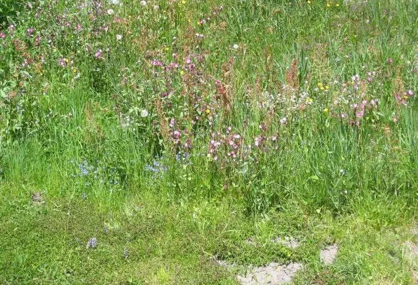 ペンション Adlerhorst