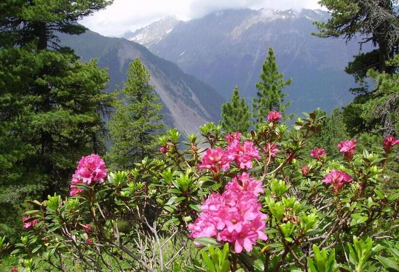 ペンション Adlerhorst