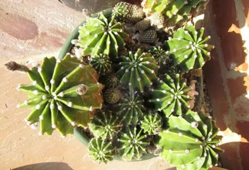 Majatalo Annapurna Guest House