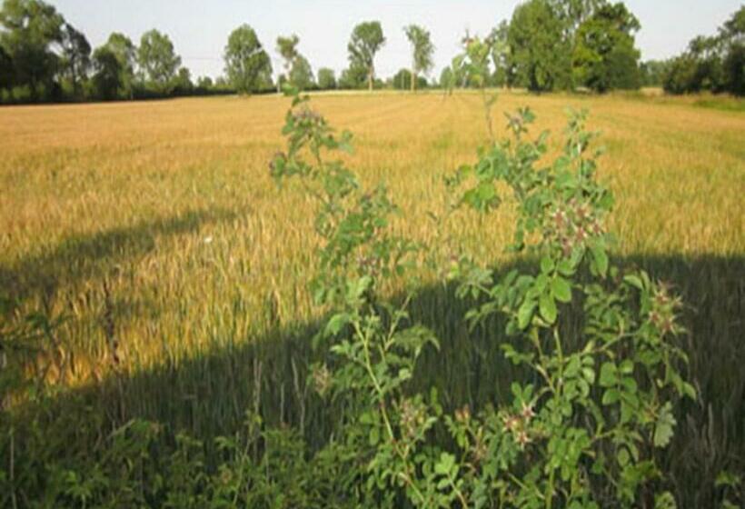 膳宿费 Annapurna Guest House