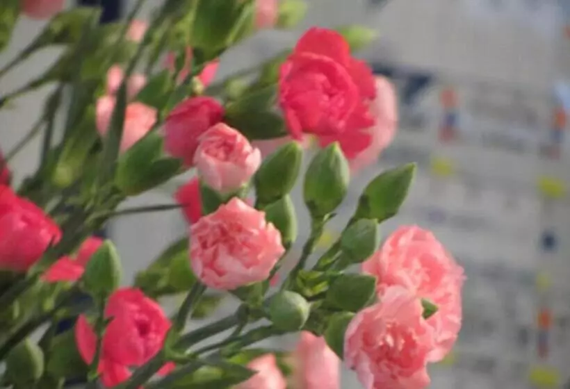 Majatalo Annapurna Guest House