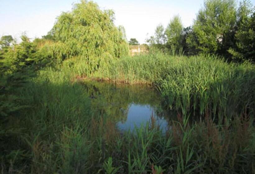 膳宿费 Annapurna Guest House