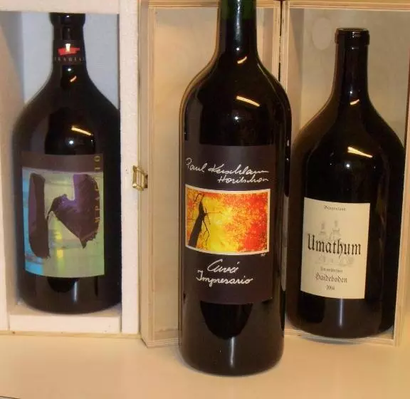 ペンション Land  & Panoramagasthof Schöne Aussicht