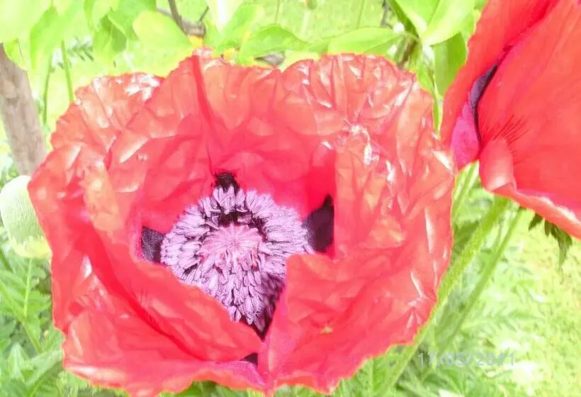 ペンション Land  & Panoramagasthof Schöne Aussicht