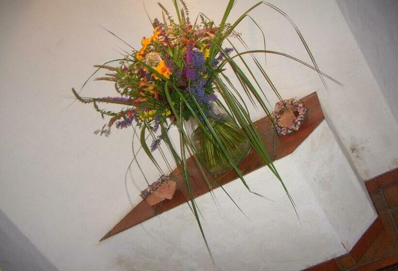 פנסיון Land  & Panoramagasthof Schöne Aussicht