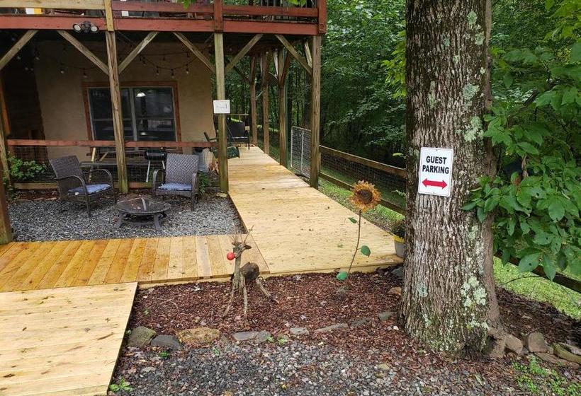 بنسيون Todd Escape