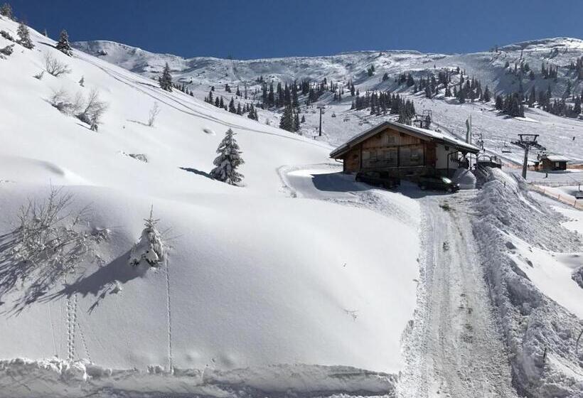 Tauernhaus Appartment
