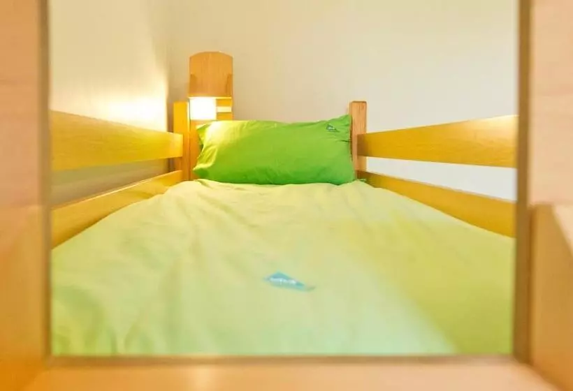 Yha National Forest Hostel