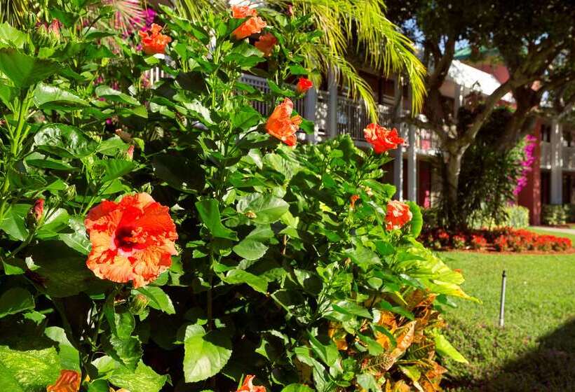 בית מלון כפרי Collins  Naples