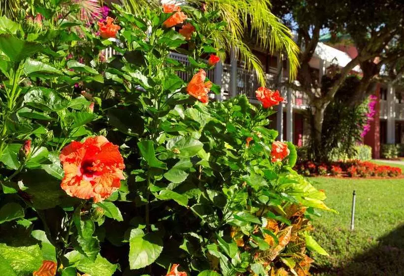 هتل Collins  Naples