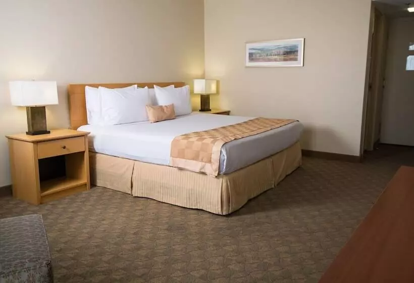 ホテル Edmonton Inn And Conference Centre