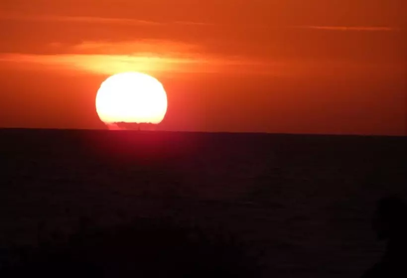 ホテル Logis Hôtel Restaurant Le Calluna