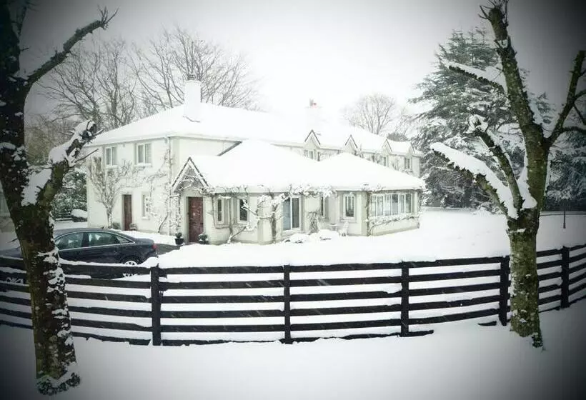 فندق Sea Dew B&b