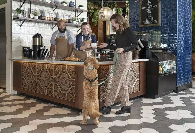 هتل Saint Clair   Magnificent Mile