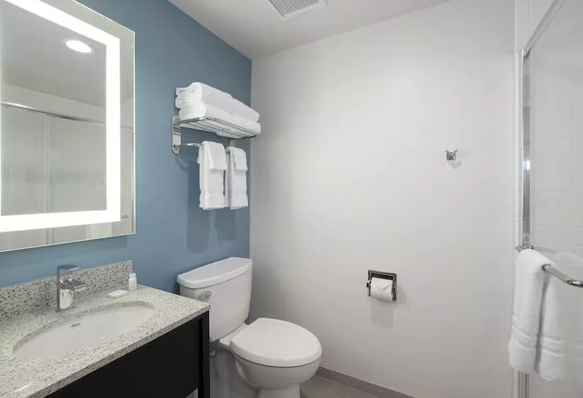 هتل Saint Clair   Magnificent Mile