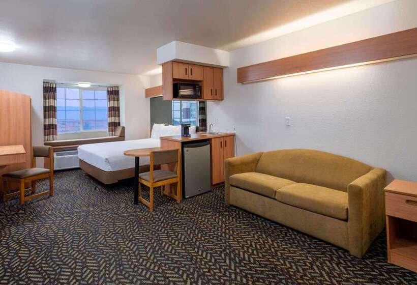 Microtel Inn & Suites By Wyndham Salt Lake City Airport