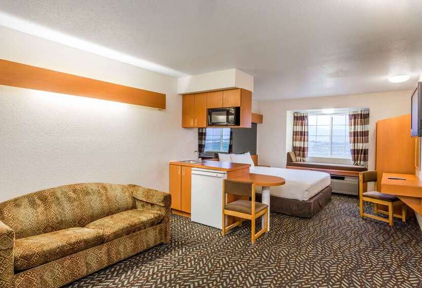 Microtel Inn & Suites By Wyndham Salt Lake City Airport