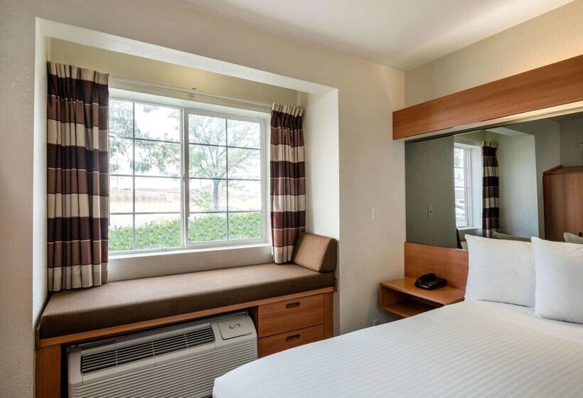 Microtel Inn & Suites By Wyndham Salt Lake City Airport