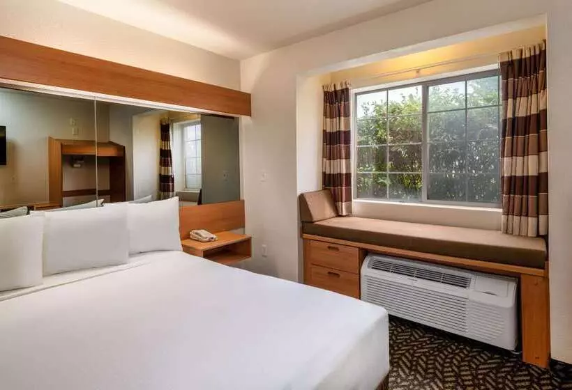 Microtel Inn & Suites By Wyndham Salt Lake City Airport
