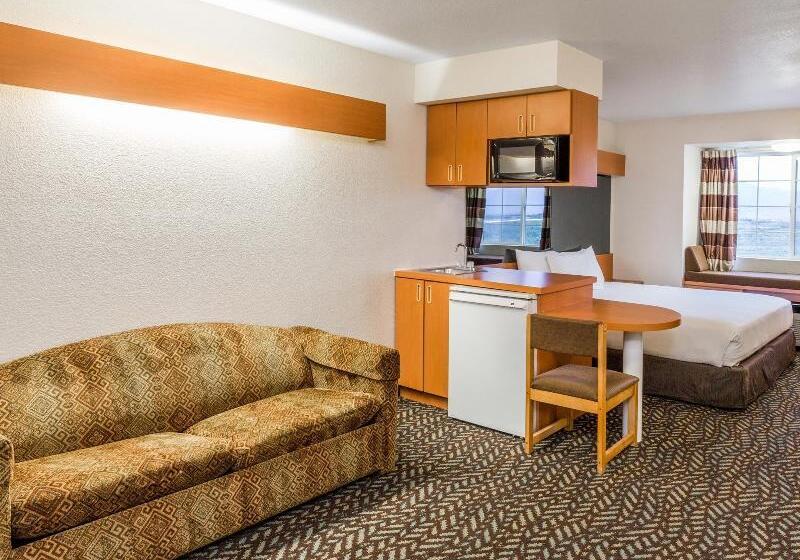 Microtel Inn & Suites By Wyndham Salt Lake City Airport
