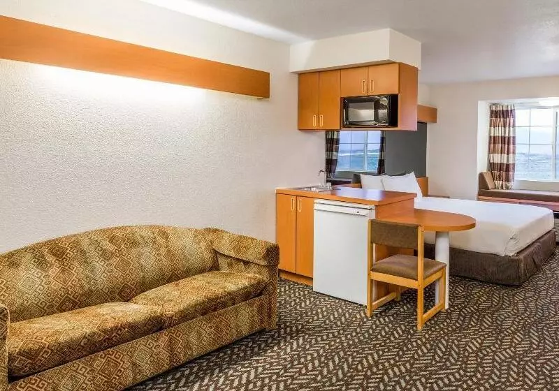 Microtel Inn & Suites By Wyndham Salt Lake City Airport