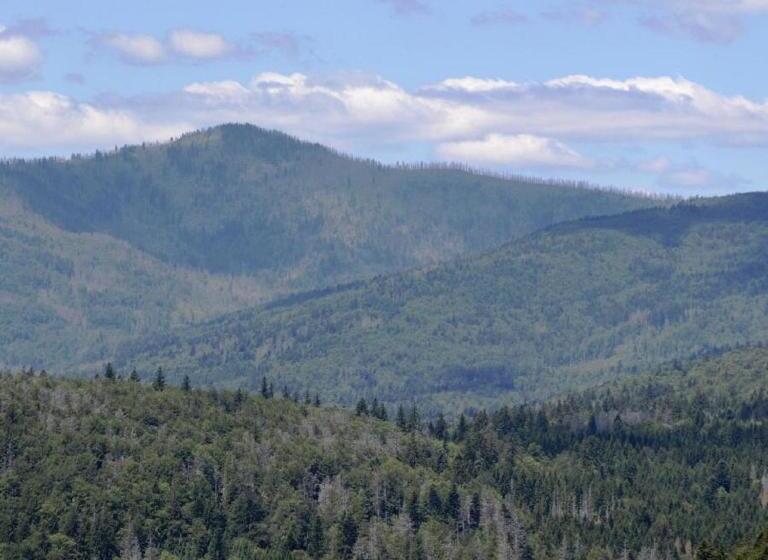 Albergue Gästehaus Schreiner