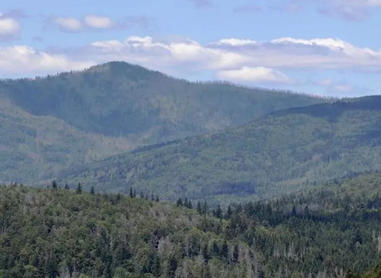 Retkeilymaja Gästehaus Schreiner