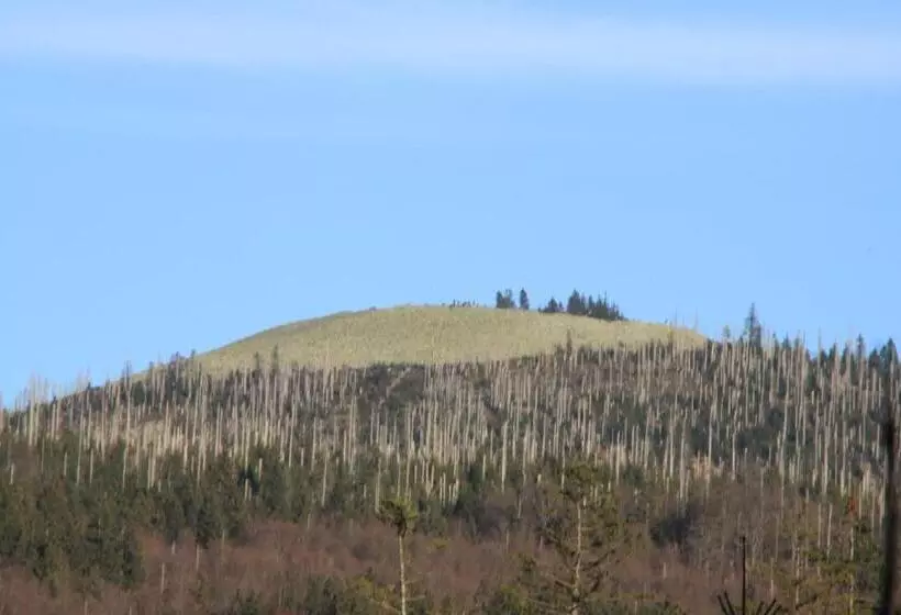 Retkeilymaja Gästehaus Schreiner