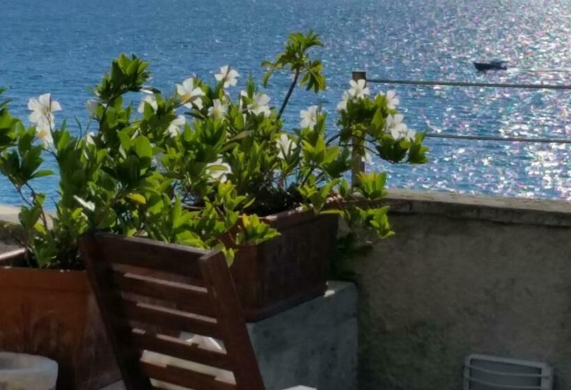 住宿加早餐  Le Sirene