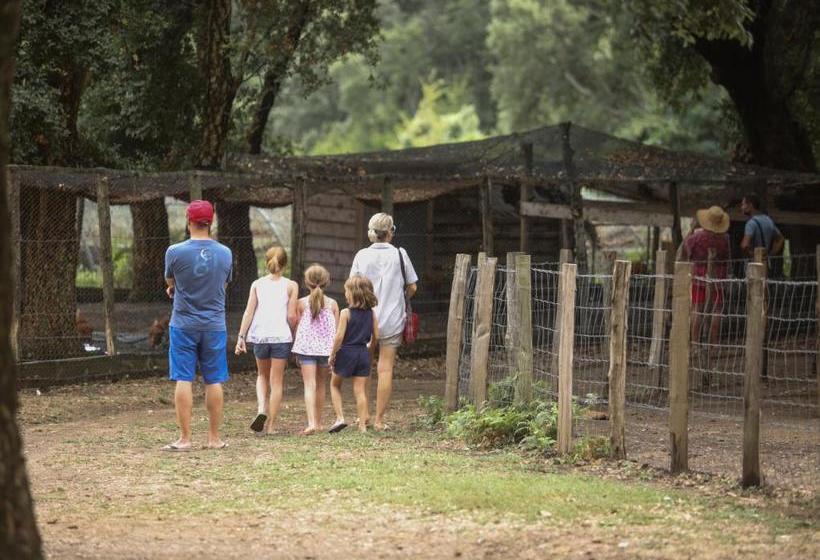 צימר Hôtel De La Distillerie