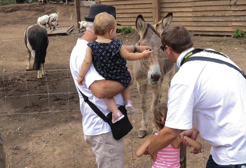 צימר Hôtel De La Distillerie