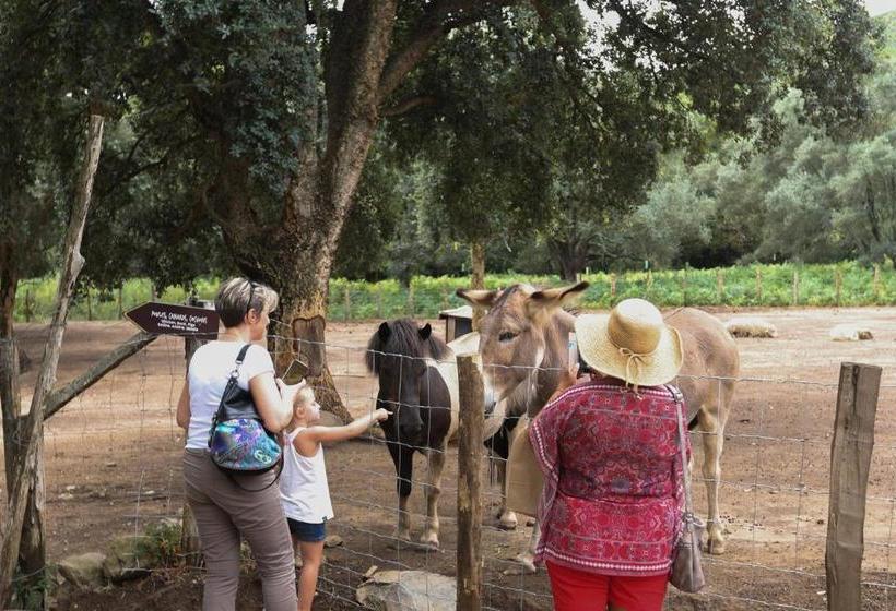 צימר Hôtel De La Distillerie