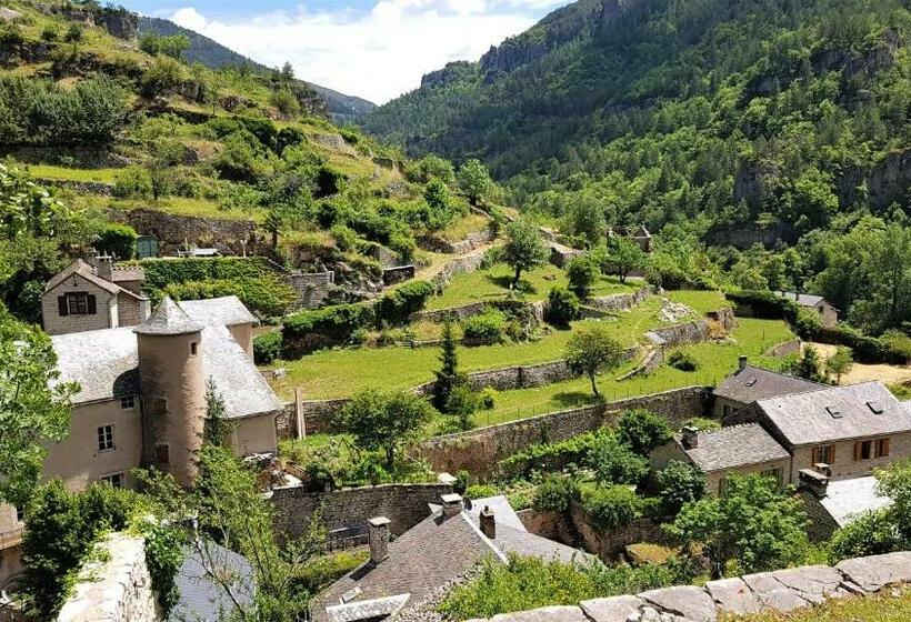 ベッドアンドブレックファースト Les Gargouilles Gorges Du Tarn Millau