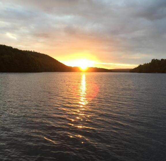 Bed and Breakfast Strong Timbers Bnb