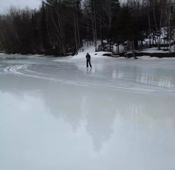 Aamiaismajoitus (B&B) Strong Timbers Bnb