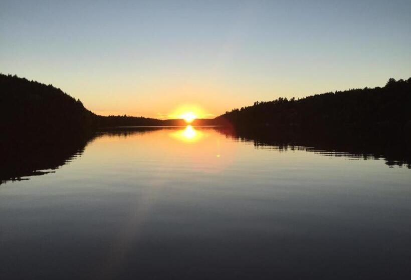 Bed and Breakfast Strong Timbers Bnb