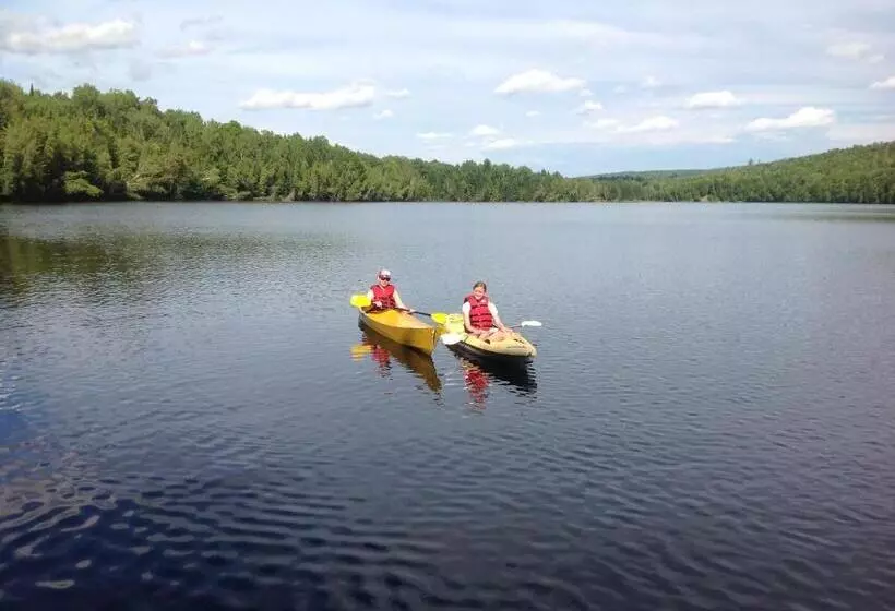 Aamiaismajoitus (B&B) Strong Timbers Bnb