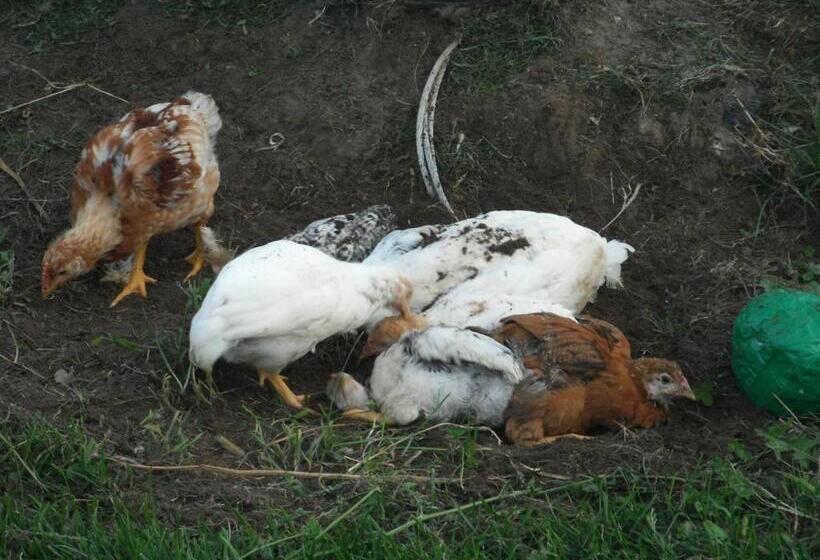 فندق Agritur Ai Masi