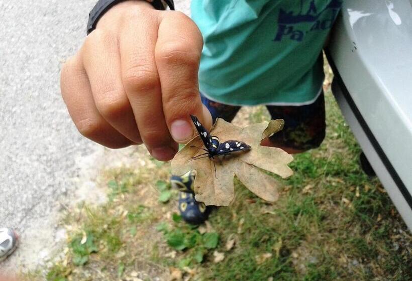 فندق Agritur Ai Masi