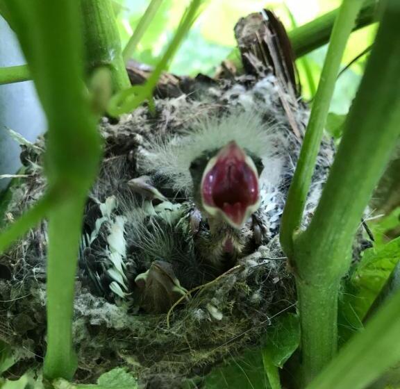 فندق Agritur Ai Masi