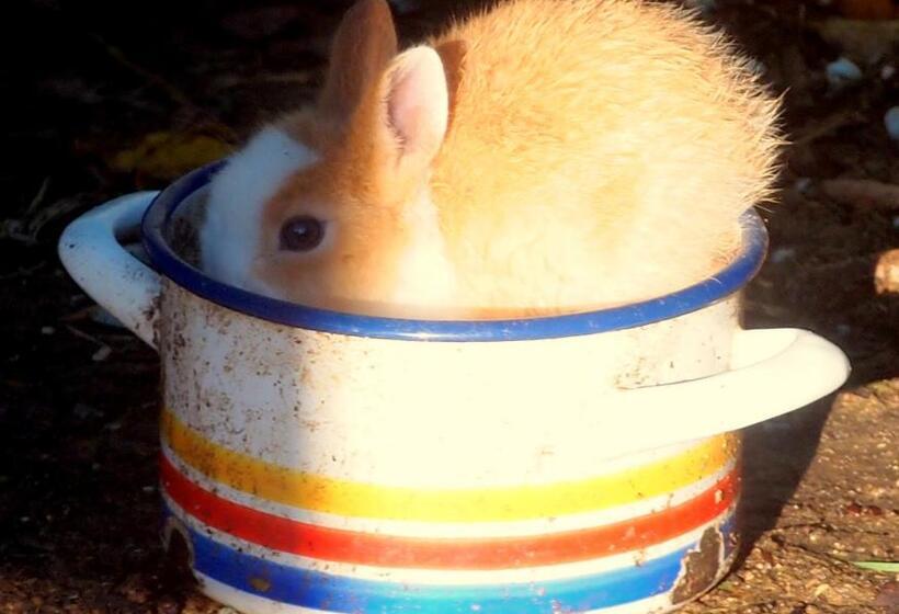 ホテル Agriturismo La Terra