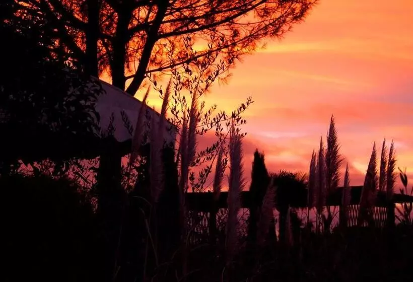 ホテル Agriturismo La Terra