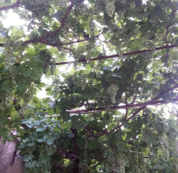 בית מלון כפרי Agriturismo Tenuta Carbonara