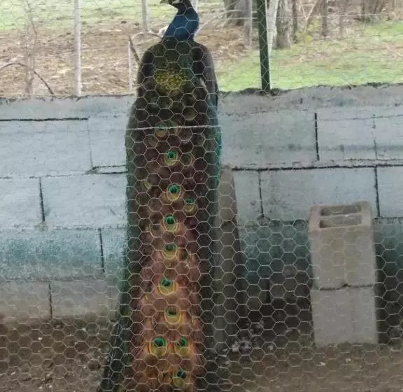 Hotelli Granja El Aromo