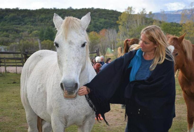 ホテル Granja El Aromo