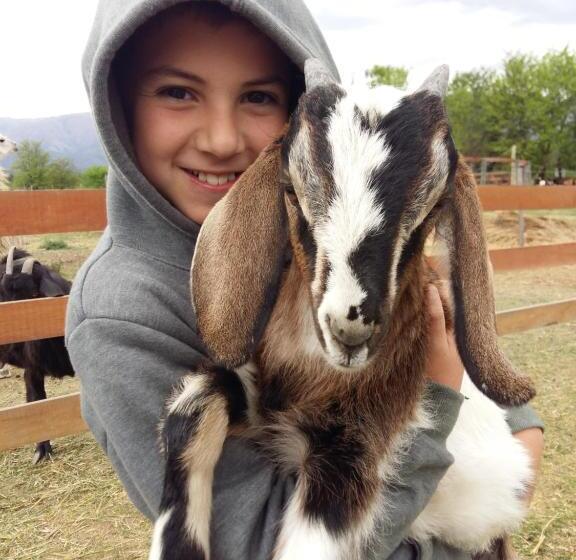 ホテル Granja El Aromo