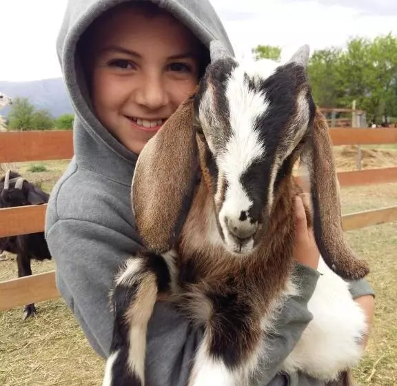 Hotelli Granja El Aromo