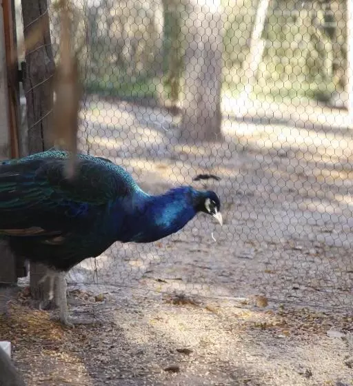 Hotelli Granja El Aromo