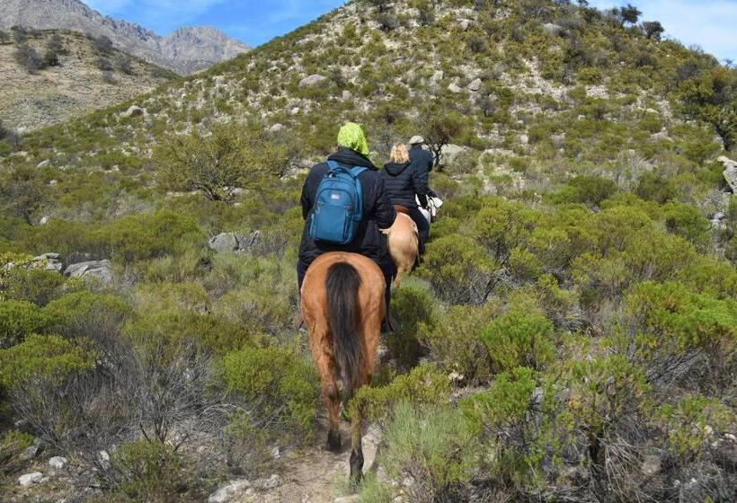 ホテル Granja El Aromo